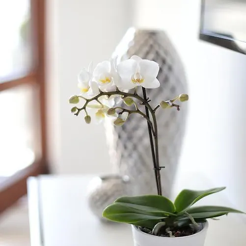 Rezydencja Redlowo Apartamento Gdynia